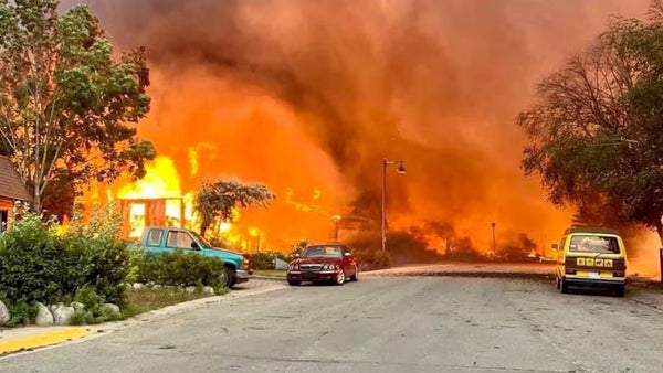 Rising From the Ashes : Jasper Since the Fires