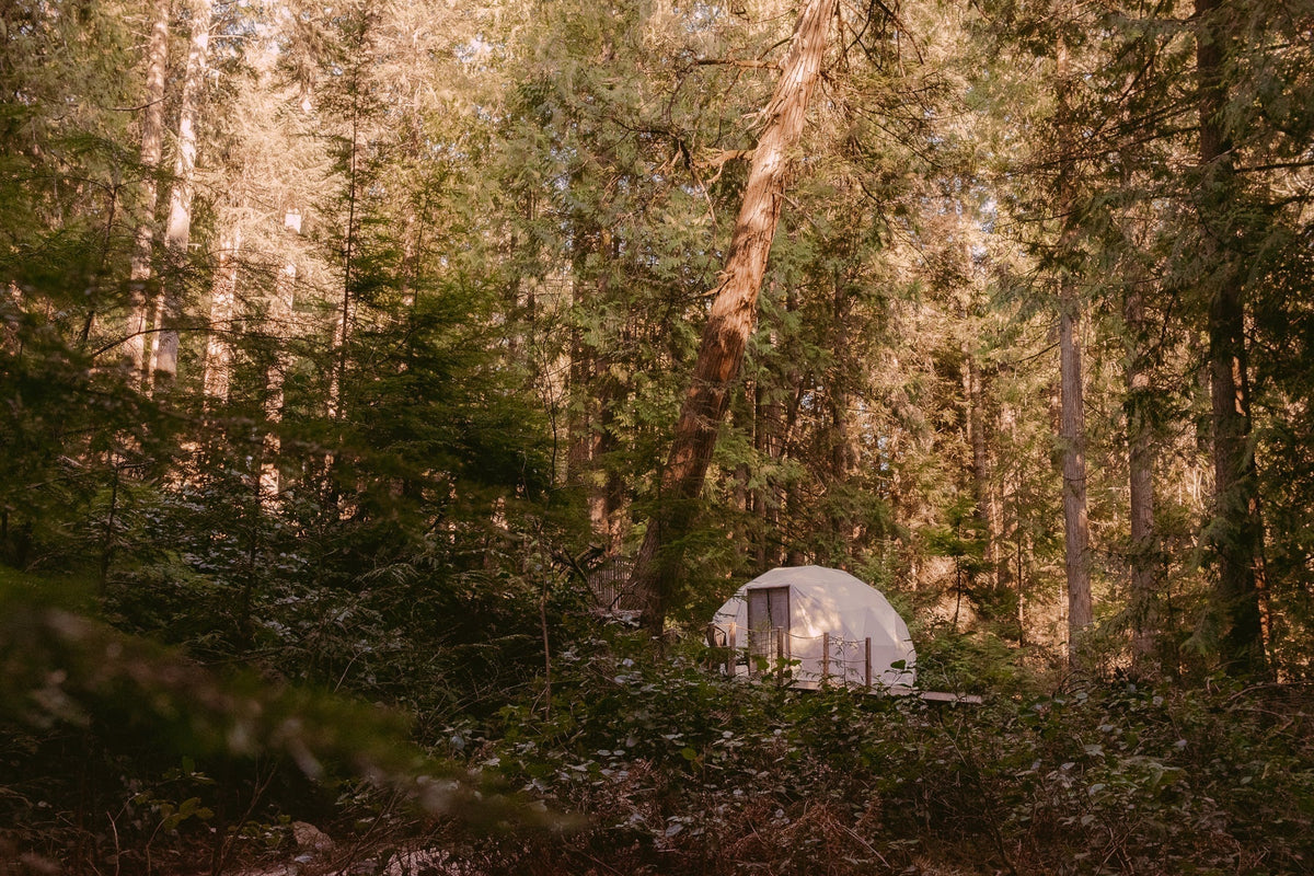 Sundance Stays - April Feature