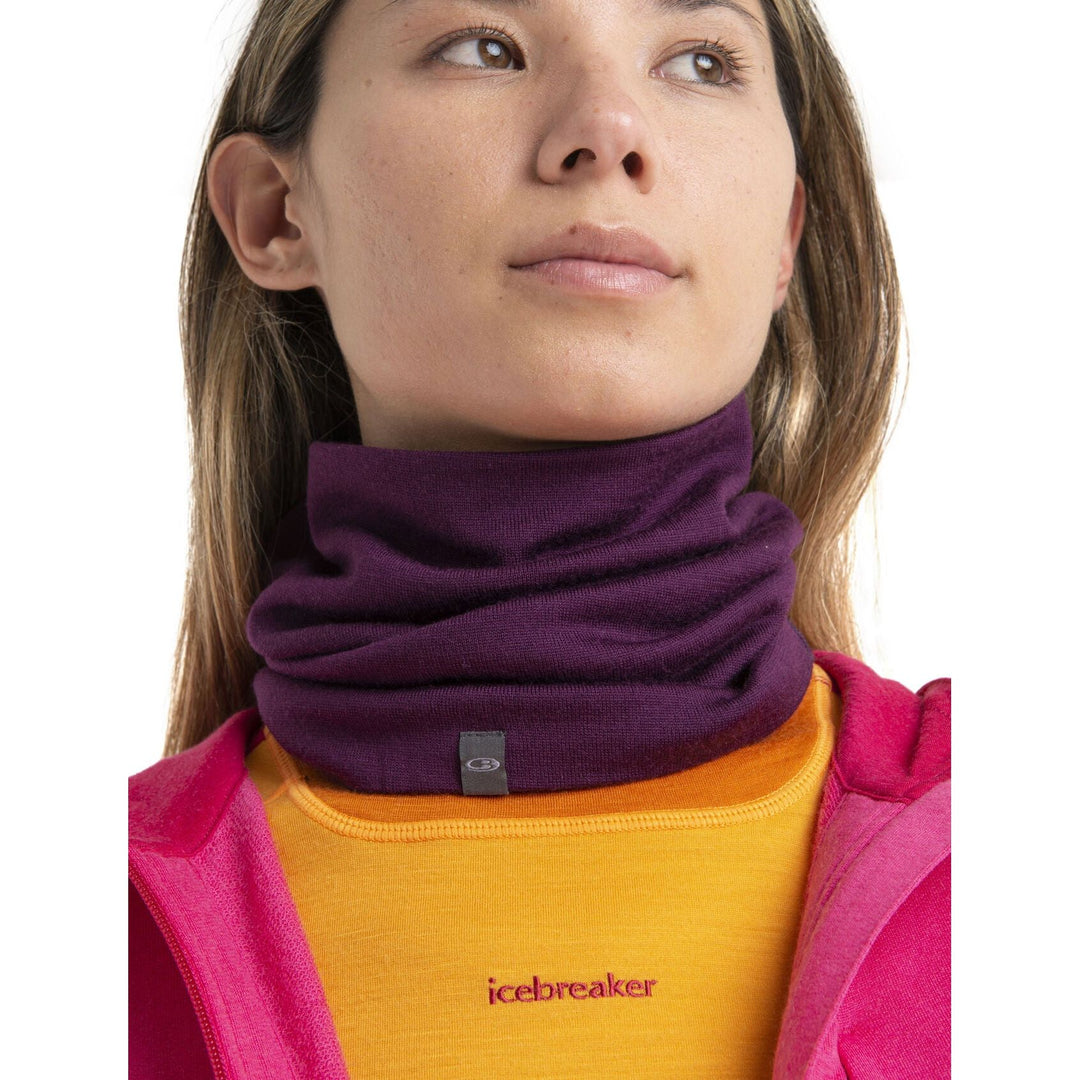 Icebreaker Unisex Apex Chute