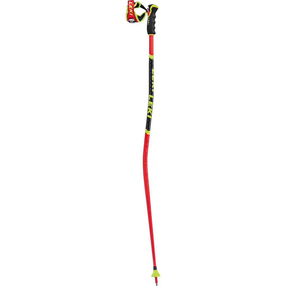 Leki WCR GS 3D