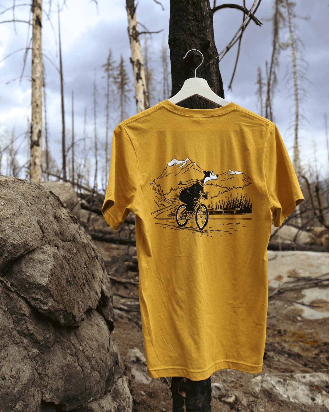 Jasper the Bear T-Shirt