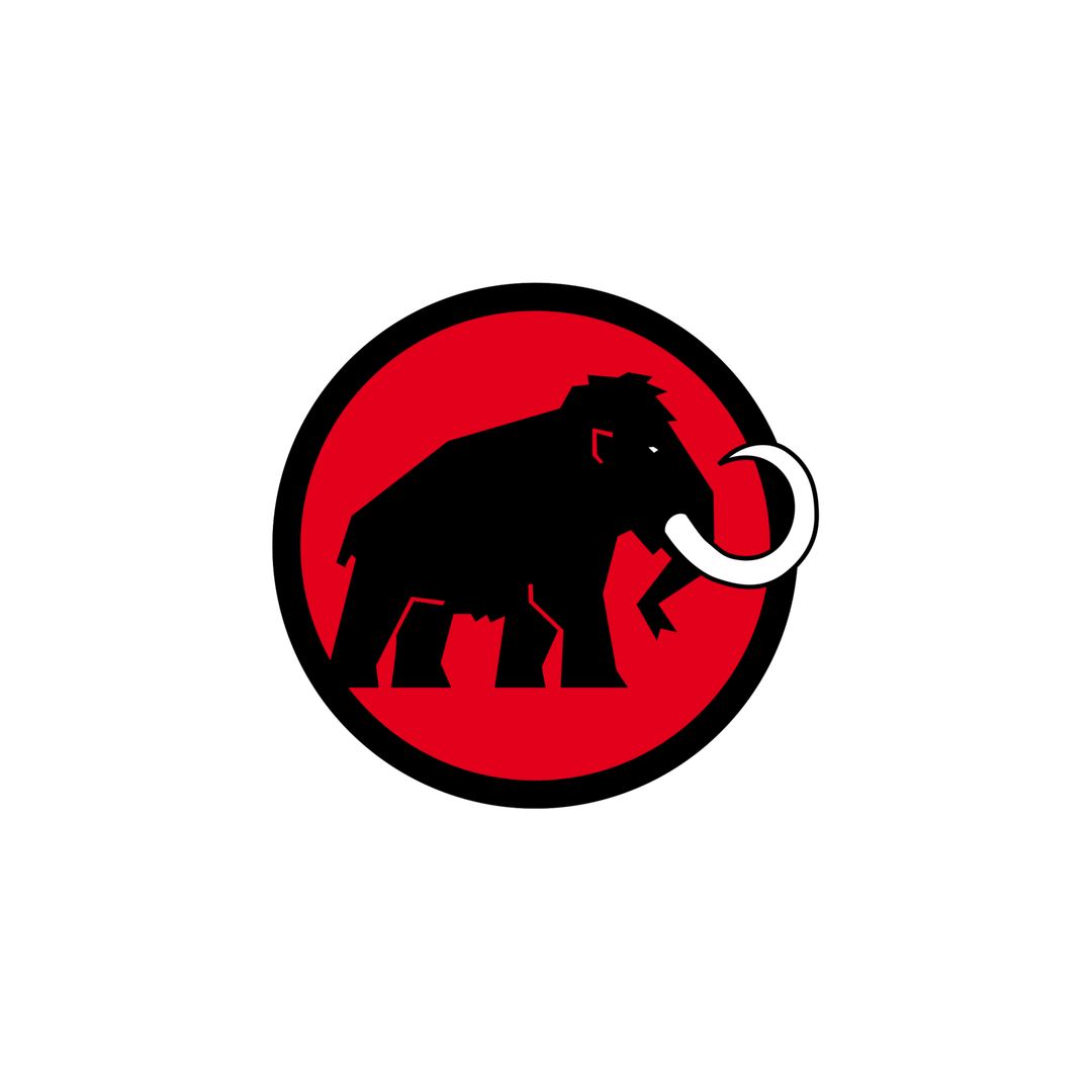 Mammut Barryvox (S) UPDATE