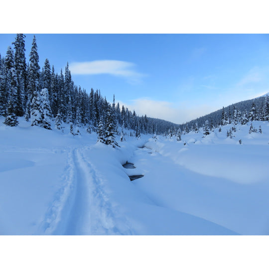 Purcell Mountain Lodge Guided Backcountry Trip Jan 2 - 5, 2026