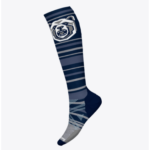 Smartwool Ski Full Cushion Growling Grizzly OTC Socks