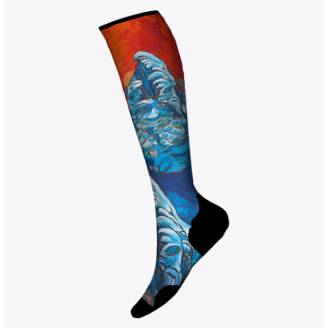 Smartwool Ski Targeted Cushion Winter Haze Print OTC Socks