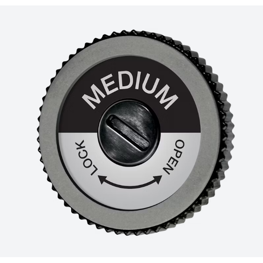 Swix Evo Pro edger Medium disc