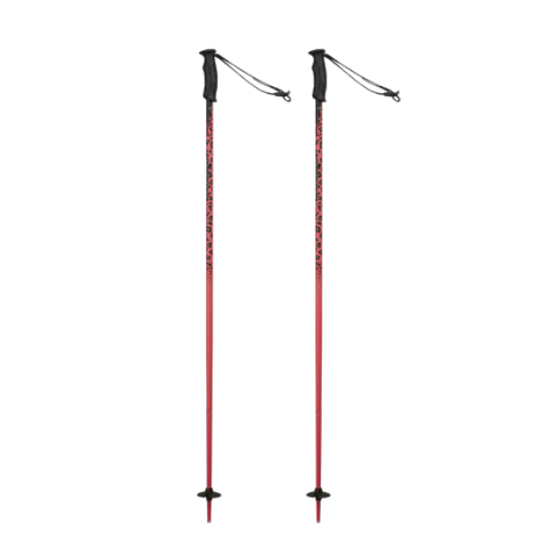 Rossignol SVG