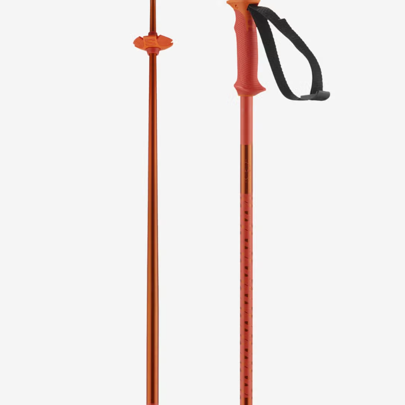 Salomon POLAR