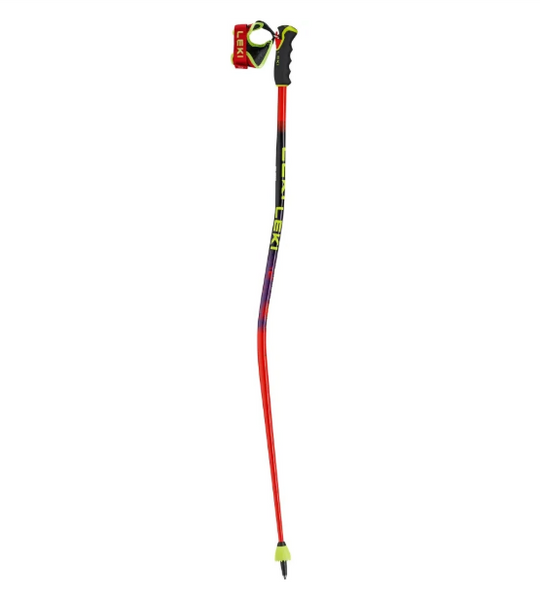 Leki WCR PRO GS TR