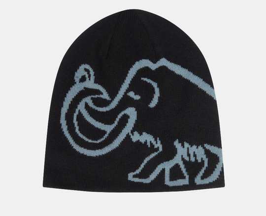 Mammut Logo Beanie Reversible