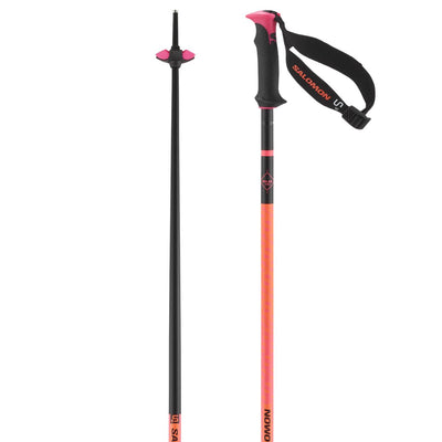 Salomon Polar PRO S3