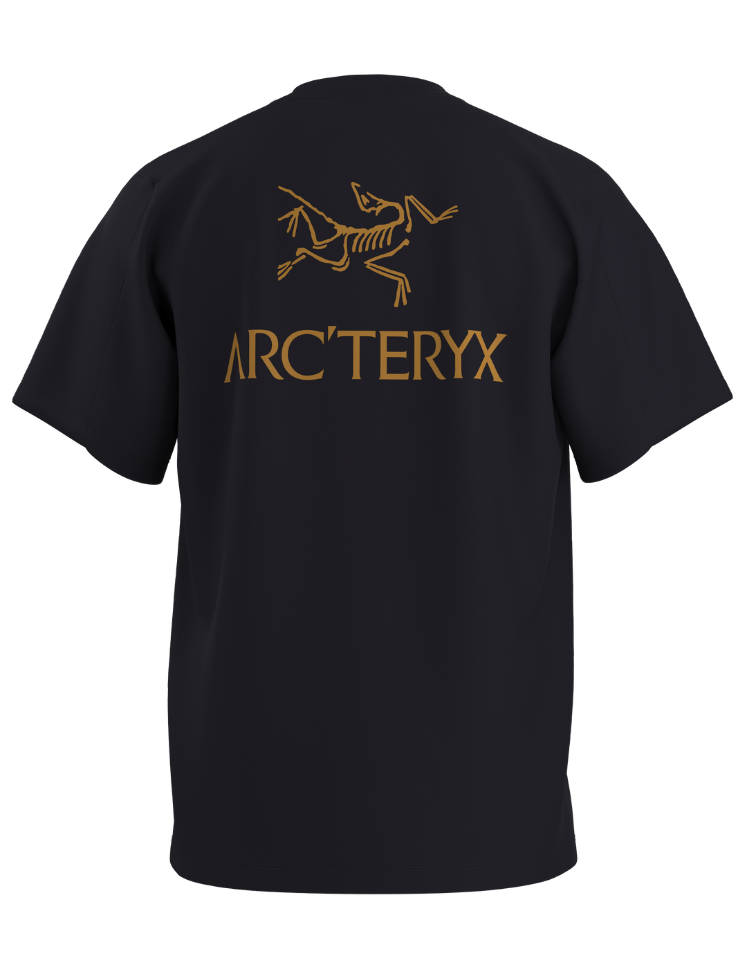 Arc&
