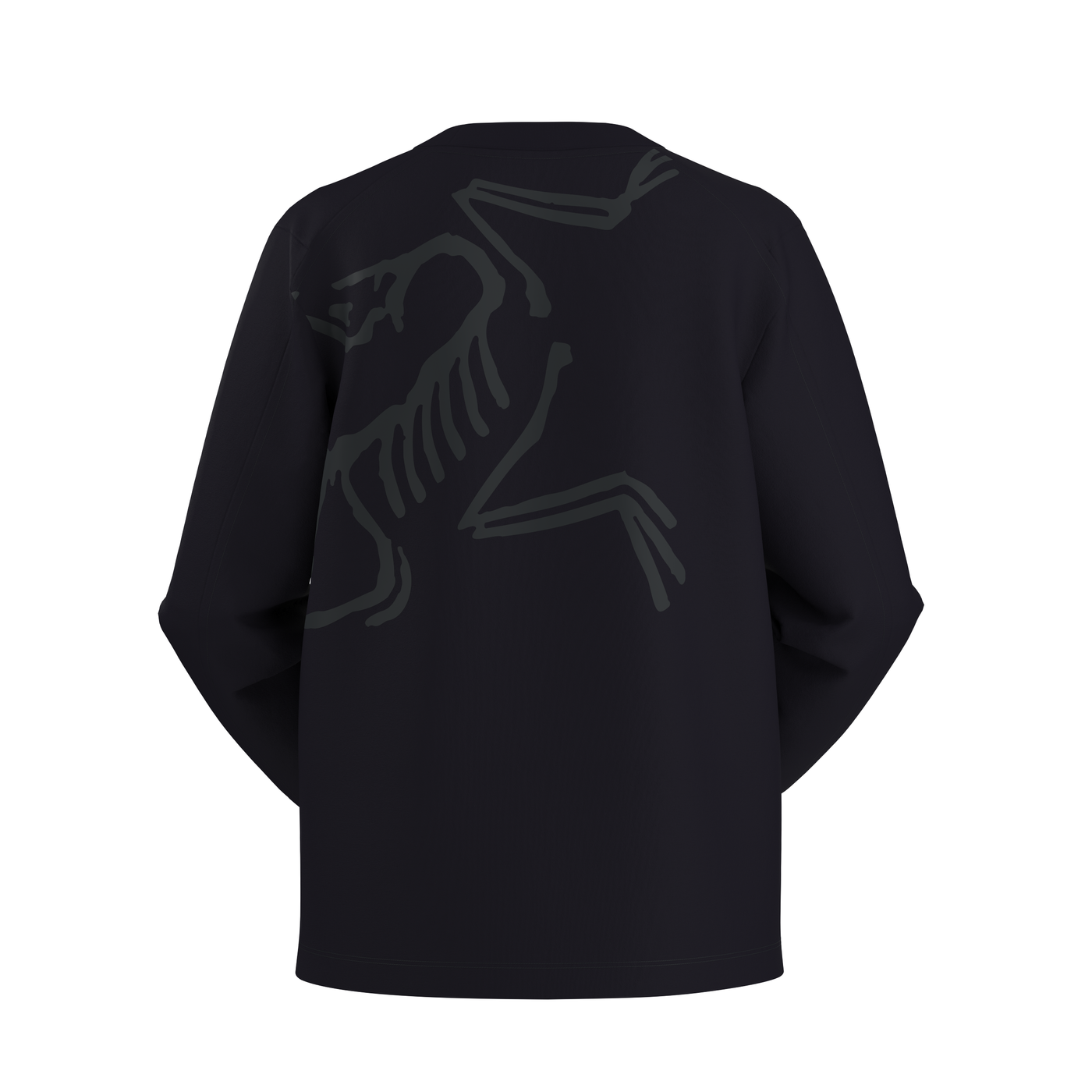 Arc'teryx Kragg Cotton Bird Crew LS W