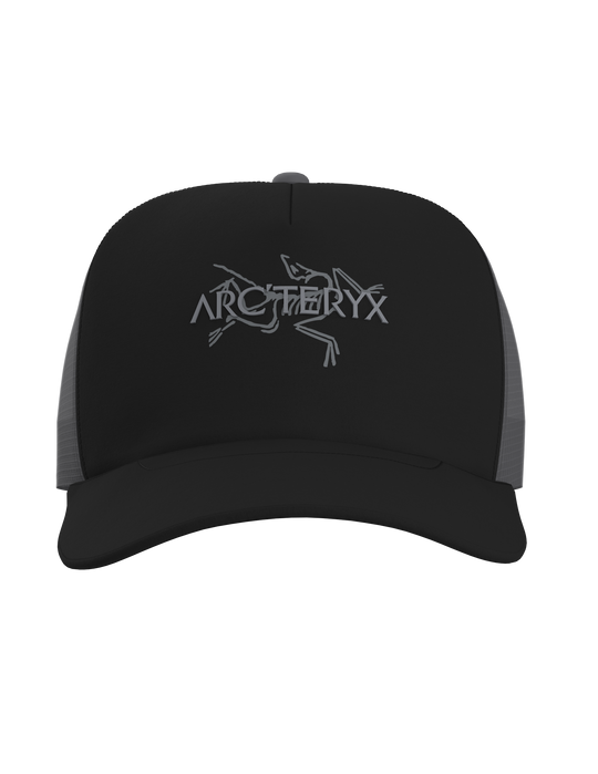 Arc&