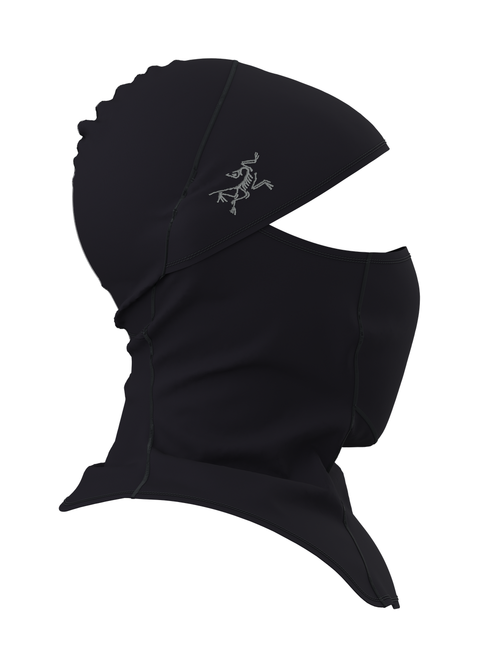 Arc'teryx Rho Balaclava