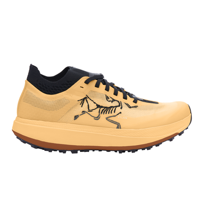 Arc'teryx SYLAN PRO M