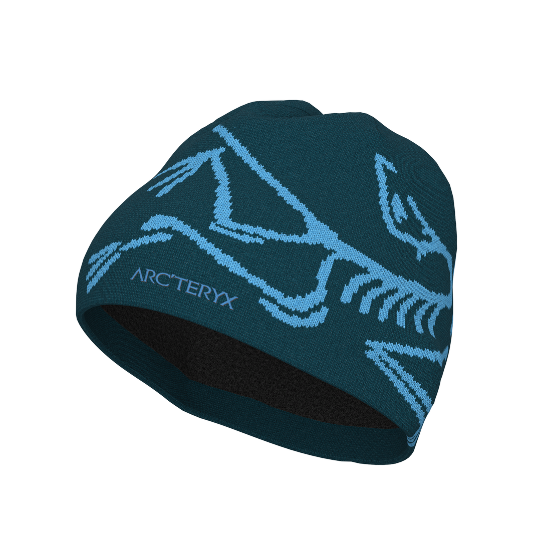 Arc'teryx Bird Head Toque – Sundance Ski & Snowboard Shop