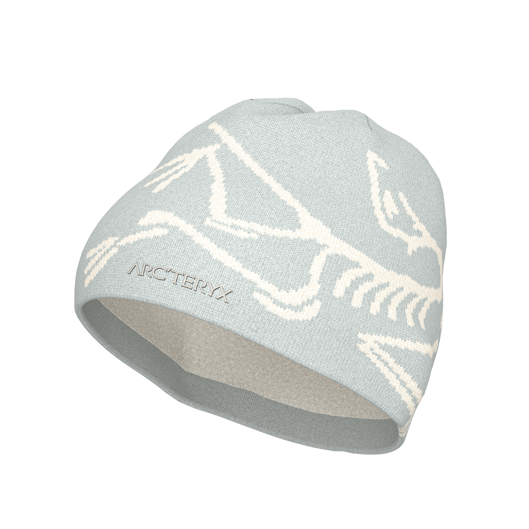 Arc'teryx Bird Head Toque – Sundance Ski & Snowboard Shop