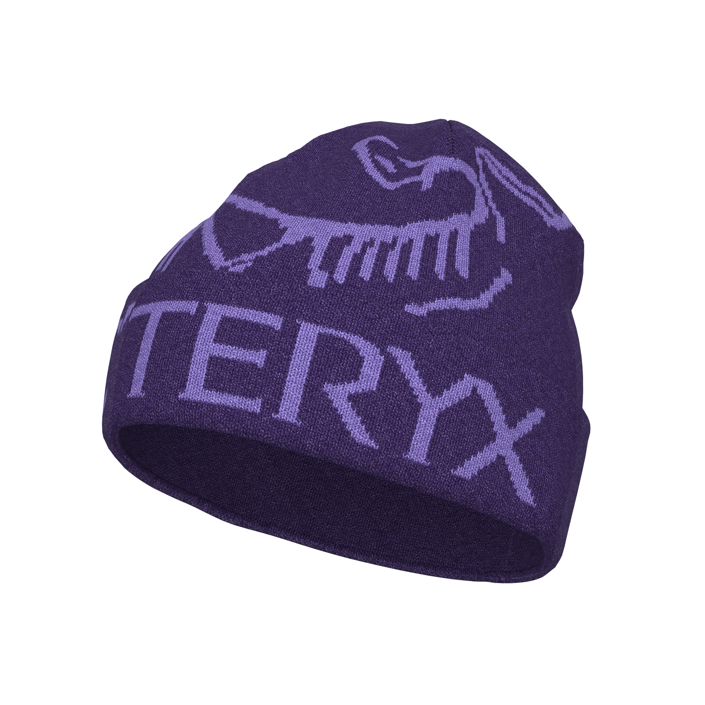 Arc'teryx Bird Word Toque