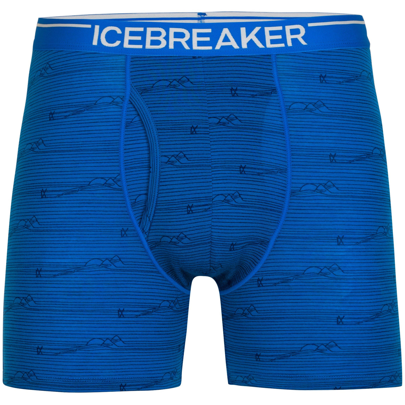 Icebreaker M Anatomica Boxers w/Fly