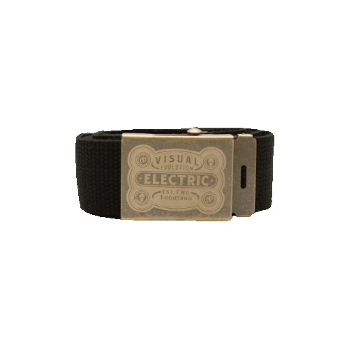 Electric Lanning Web Belt