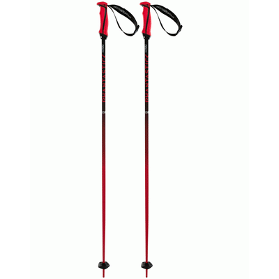 Volkl Phantastick Ski Poles 16mm