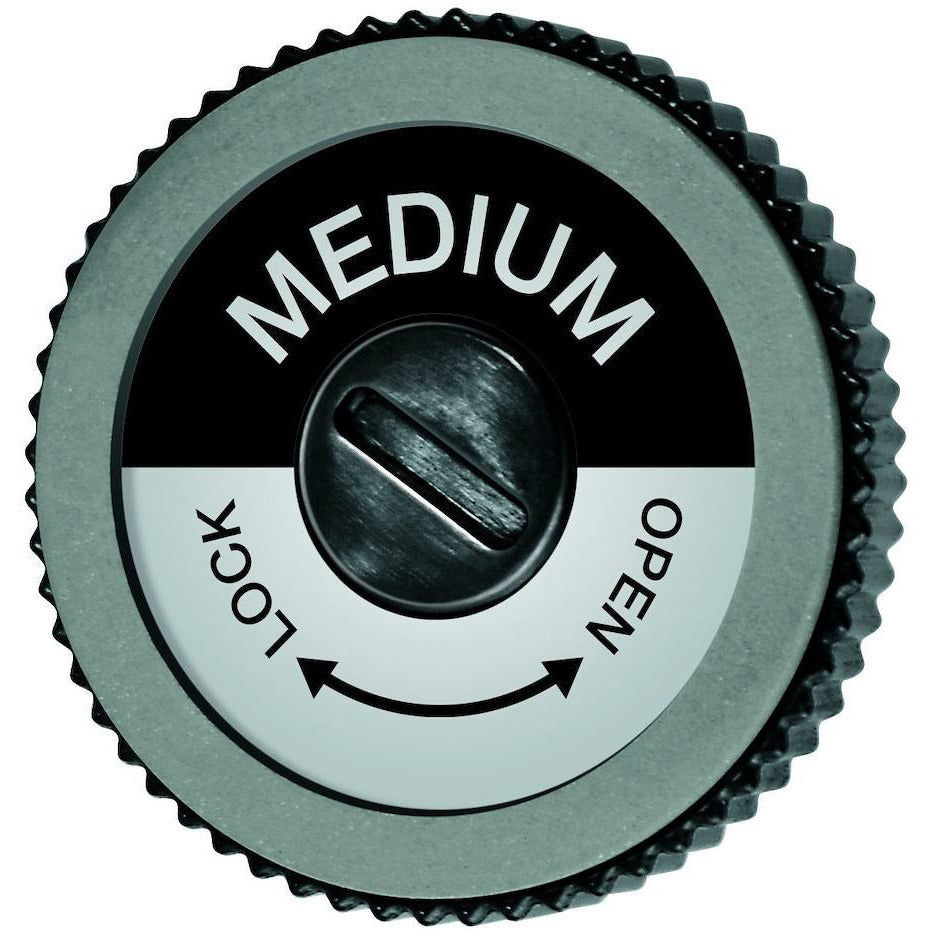 Swix Evo Pro edger Medium disc